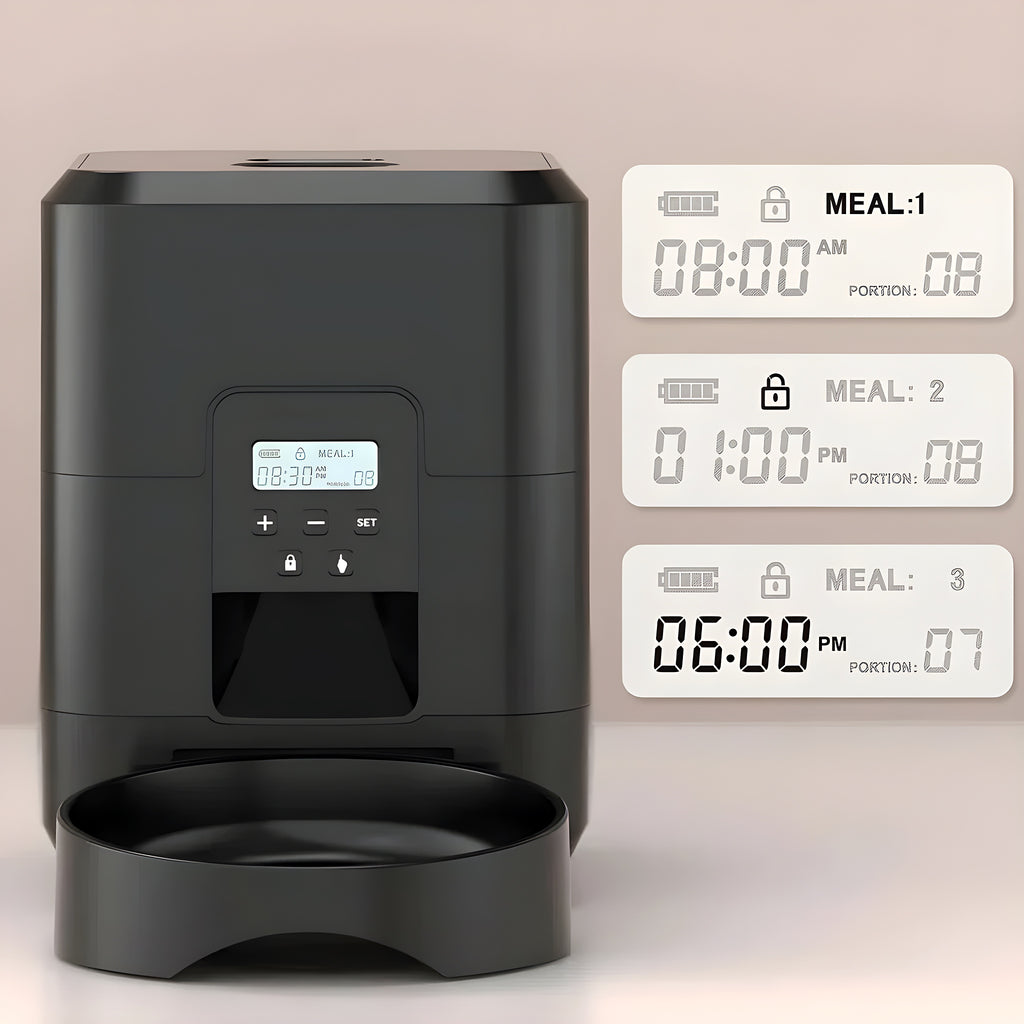 Distributeur WiFi anti-glouton