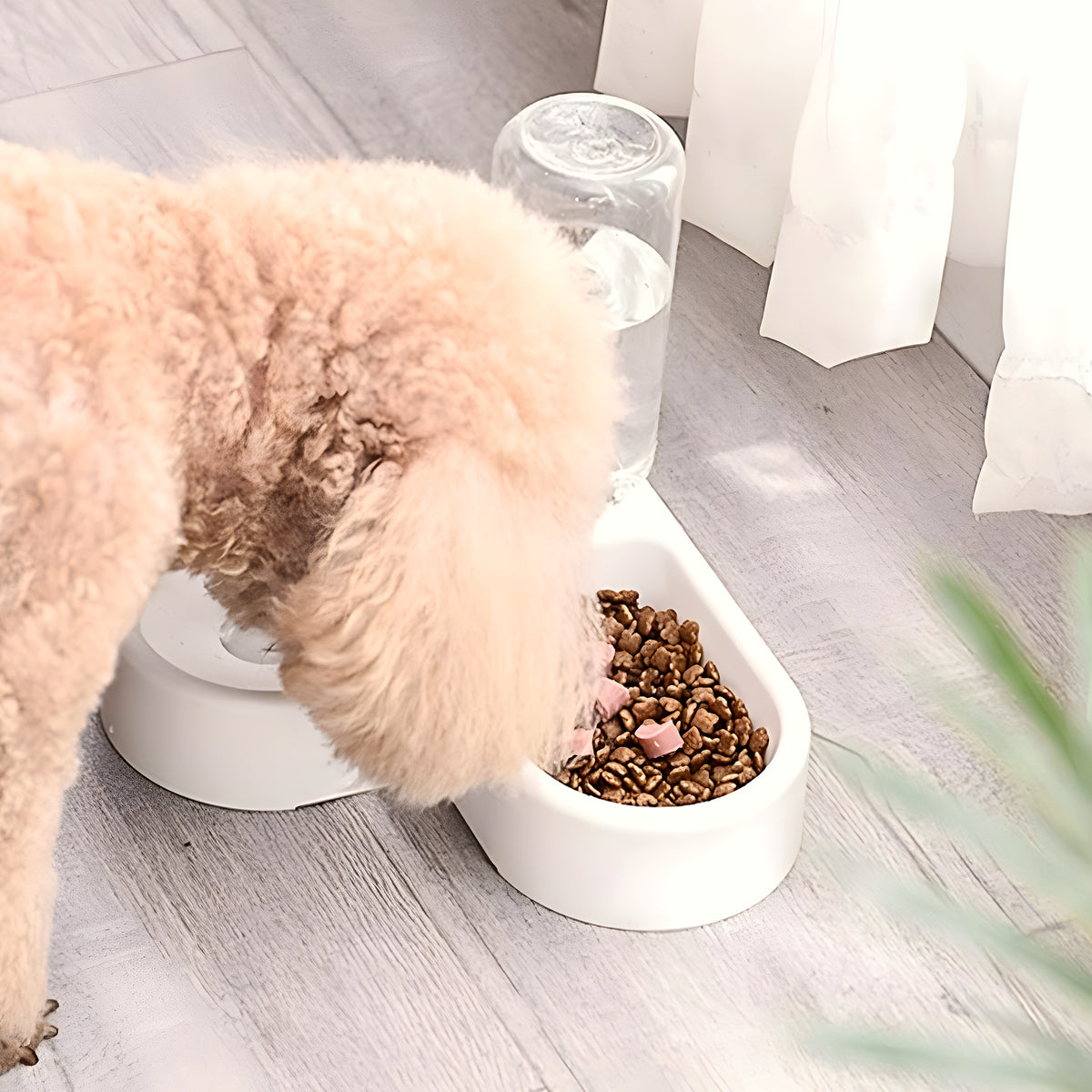 Double gamelle avec distributeur d'eau 500 ml pour petit chien