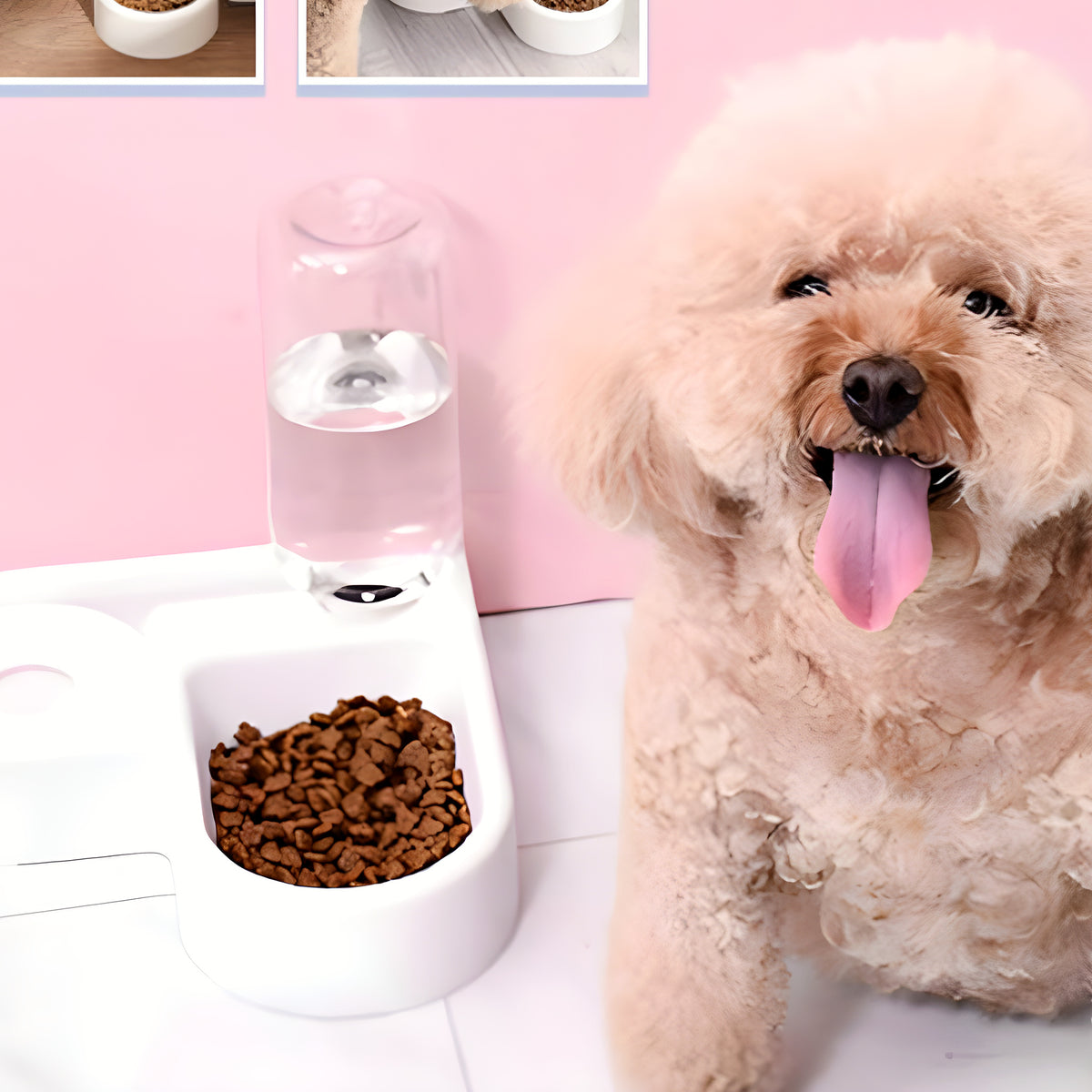 Double gamelle avec distributeur d'eau 500 ml pour petit chien
