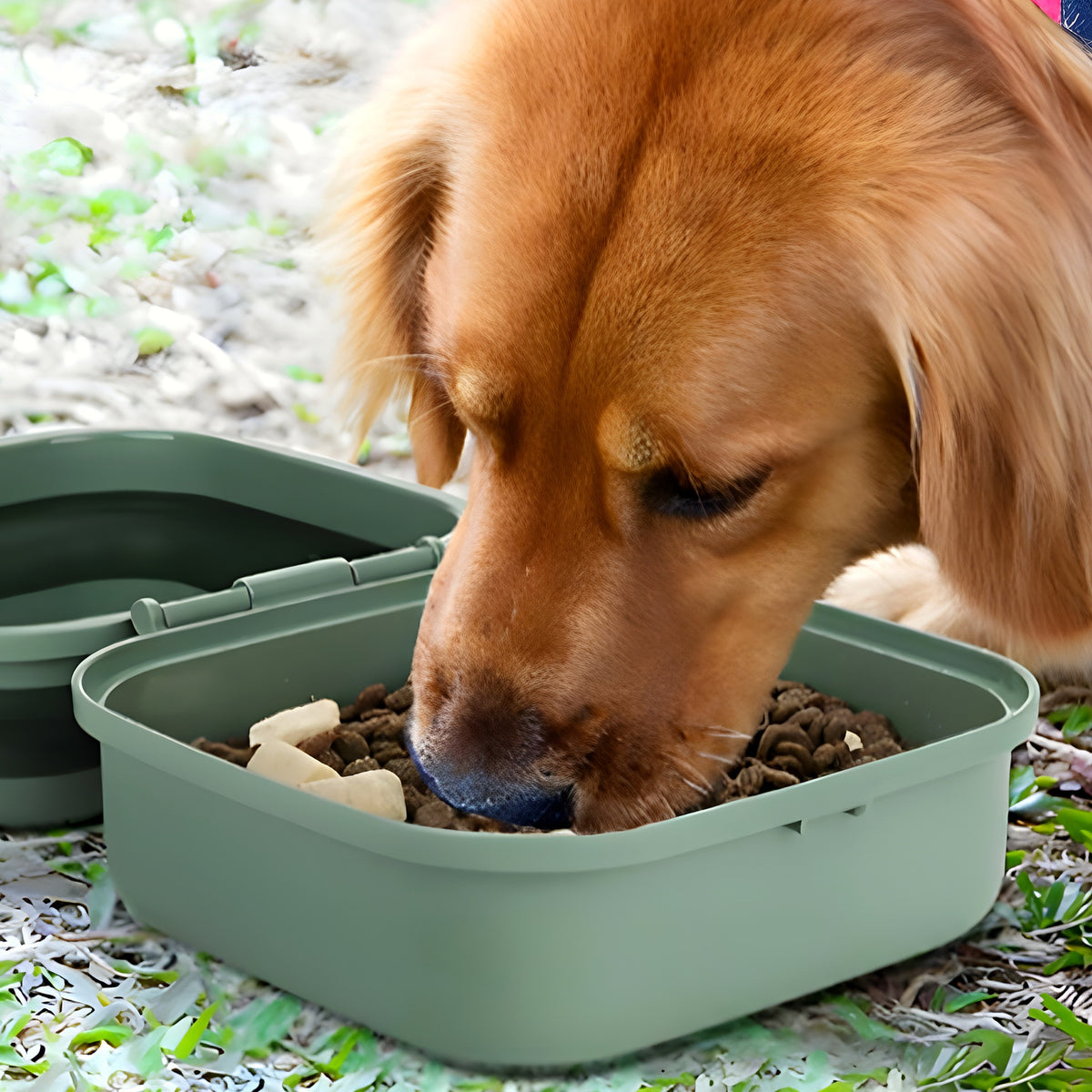 Double gamelle de voyage étanche pour chien