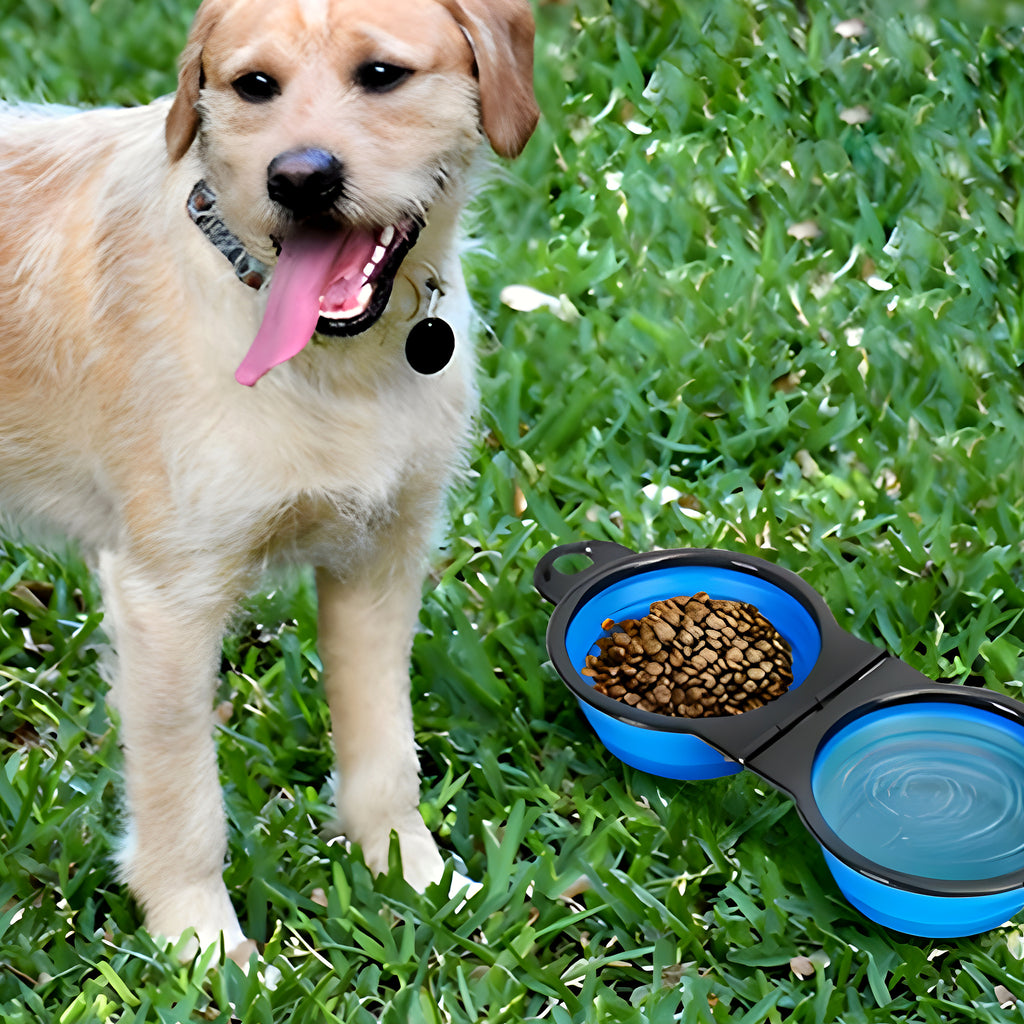 Double gamelle pliable en silicone pour chien, 6 coloris