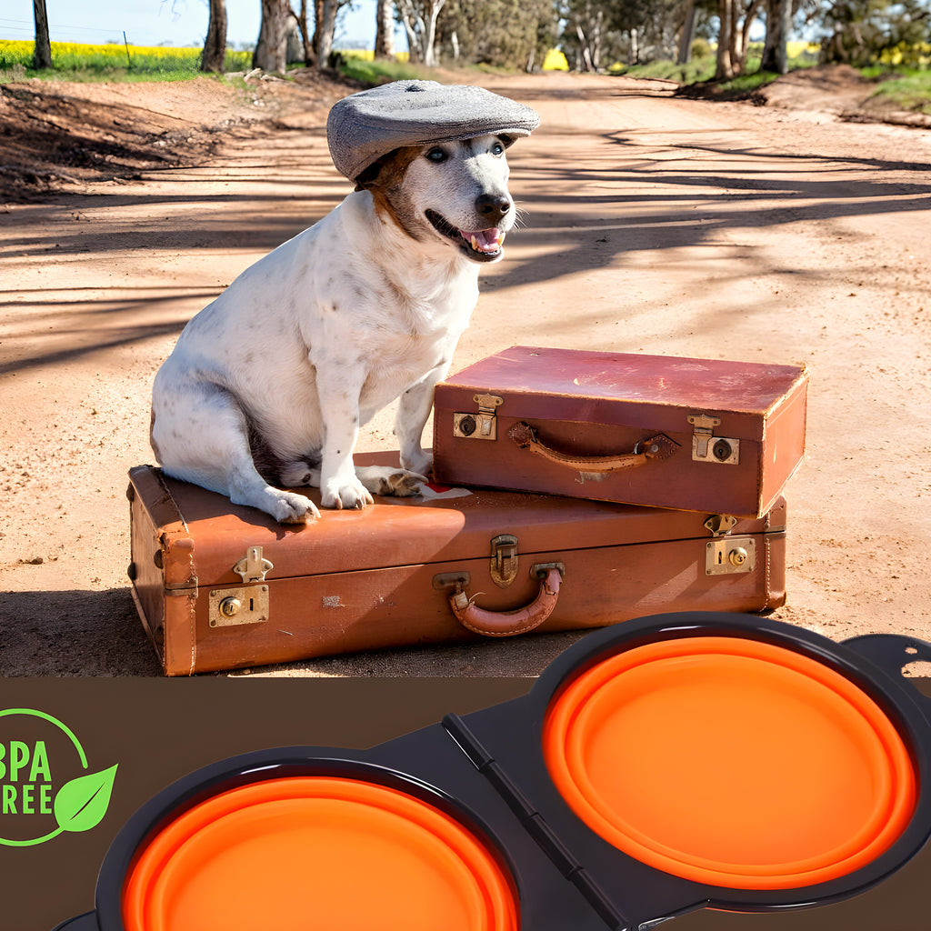 Double gamelle pliable en silicone pour chien, 6 coloris