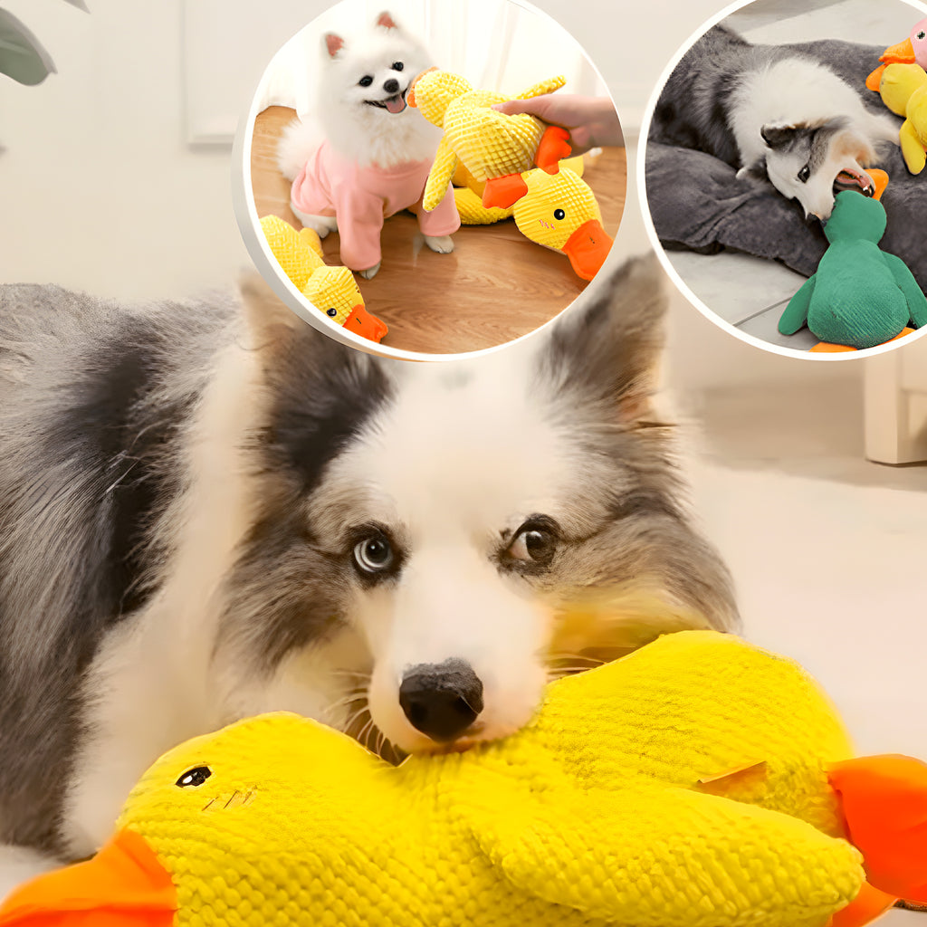Doudou canard en polaire pour chien, 3 tailles