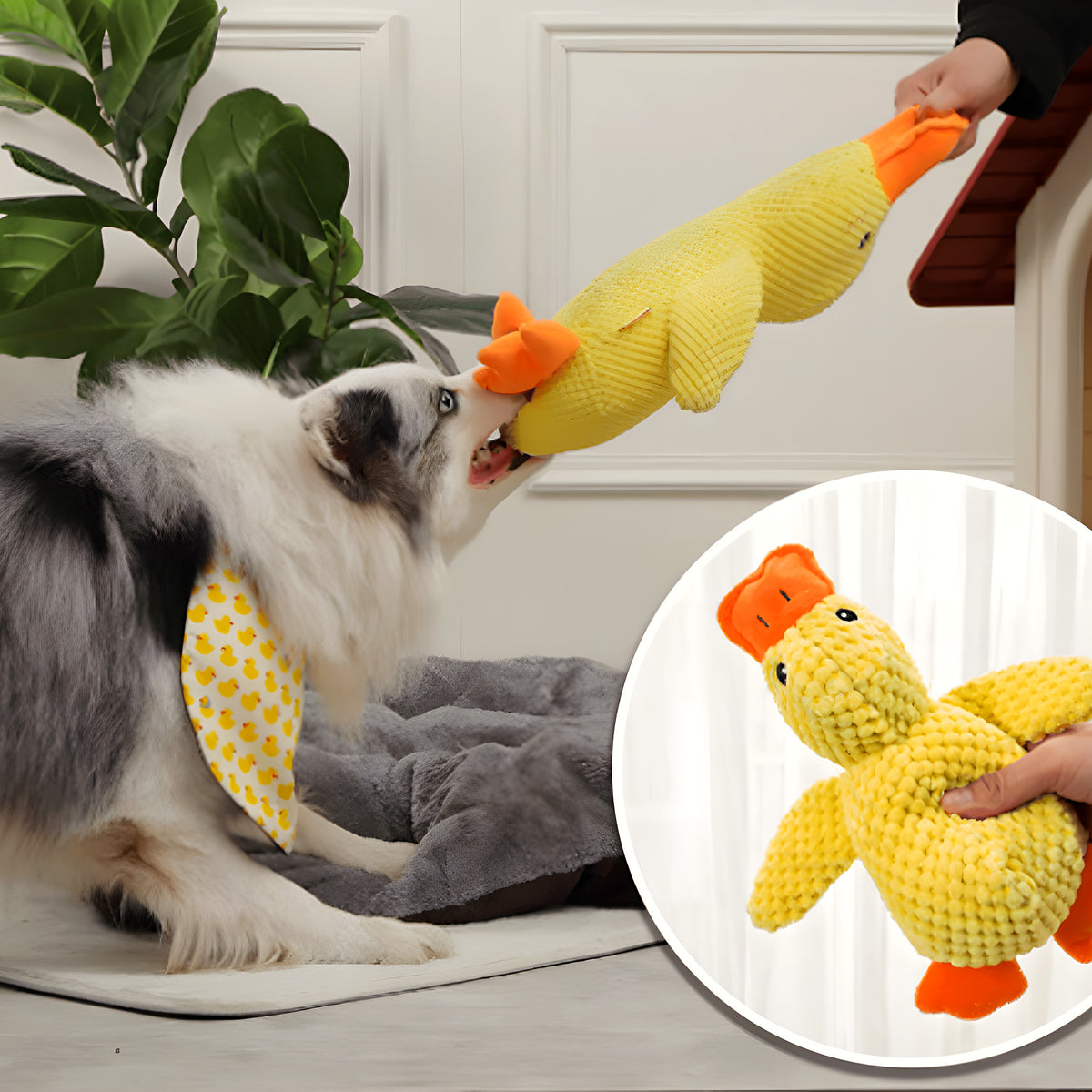 Doudou canard en polaire pour chien, 3 tailles