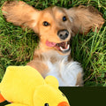 Doudou canard en polaire pour chien, 3 tailles