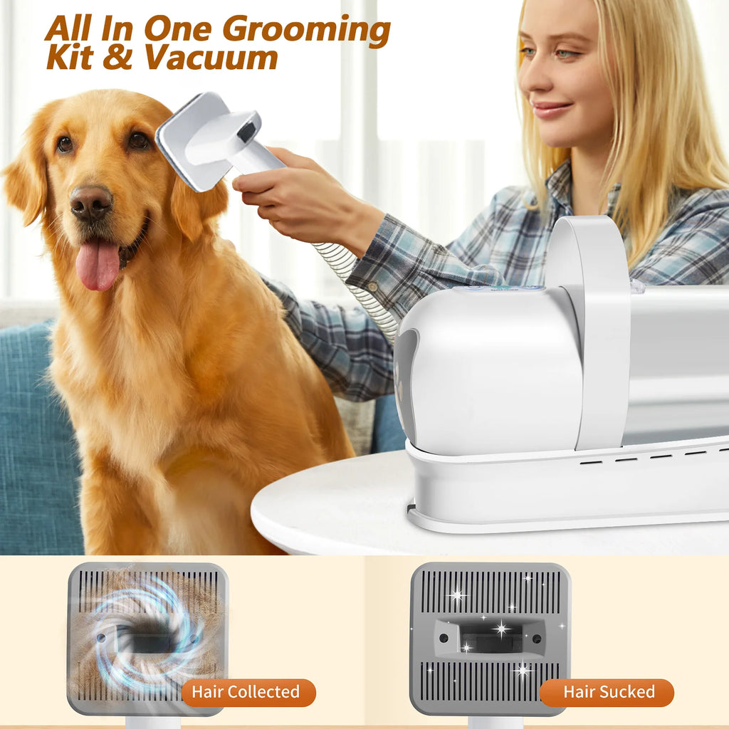 13000Pa Chien Toilettage Pour Animaux De Compagnie Sèche-Cheveux 7-En-1 Air Chaud Rapide Et Silencieux Sèche-Cheveux Pour Animaux De Compagnie Aspirateur Pour Chat Sèche-Cheveux Nettoyant