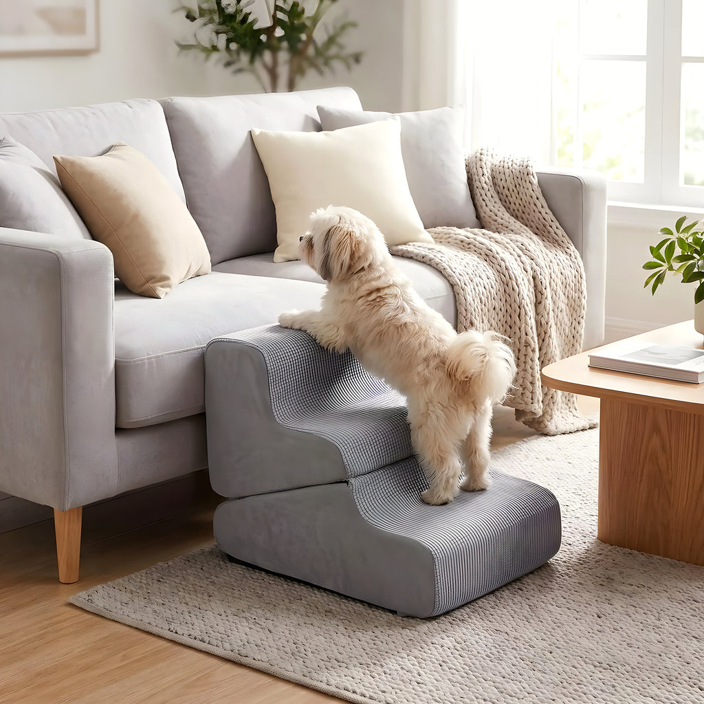 Escalier 2-en-1 pour chien, marches ou rampe douce