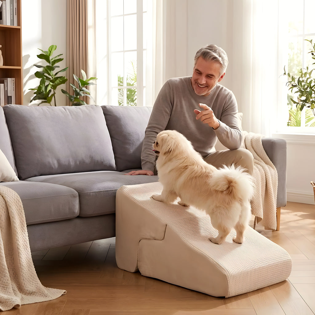 Escalier 2-en-1 pour chien, marches ou rampe douce