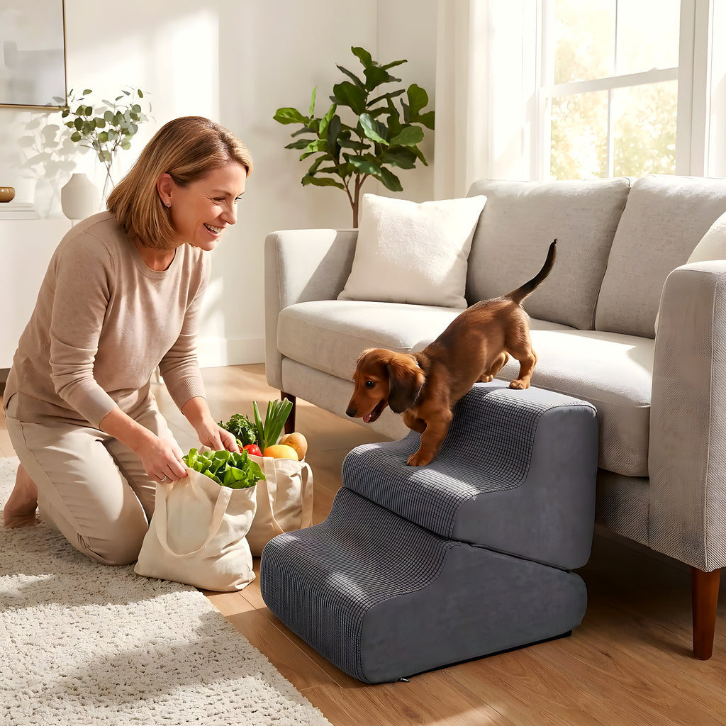 Escalier 2-en-1 pour chien, marches ou rampe douce