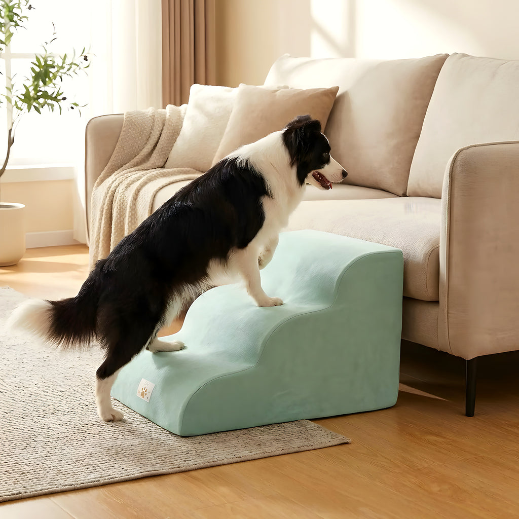 Escalier en mousse bleu 2, 3 ou 4 marches pour chien