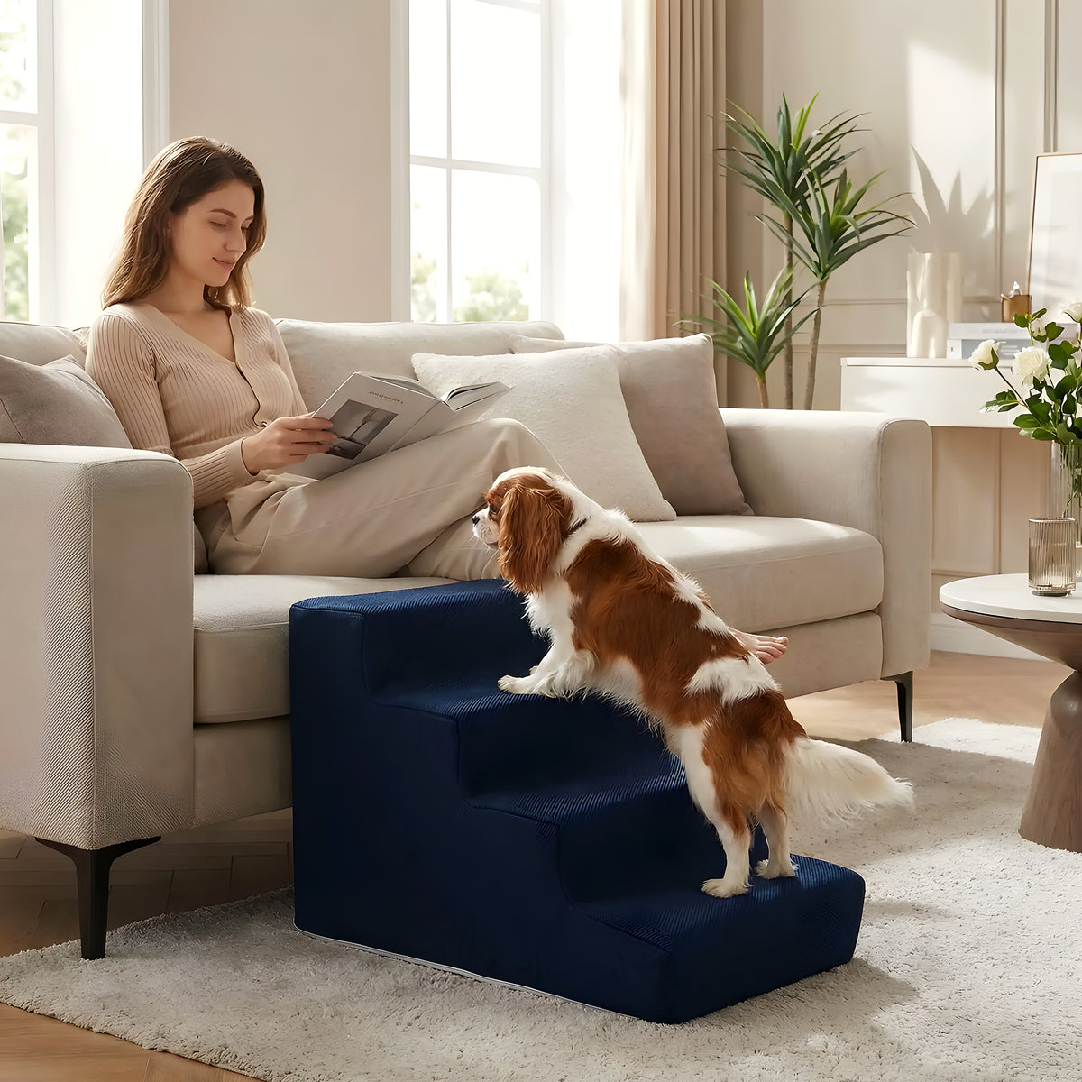 Escalier en mousse bleu marine pour chien, 3 modèles