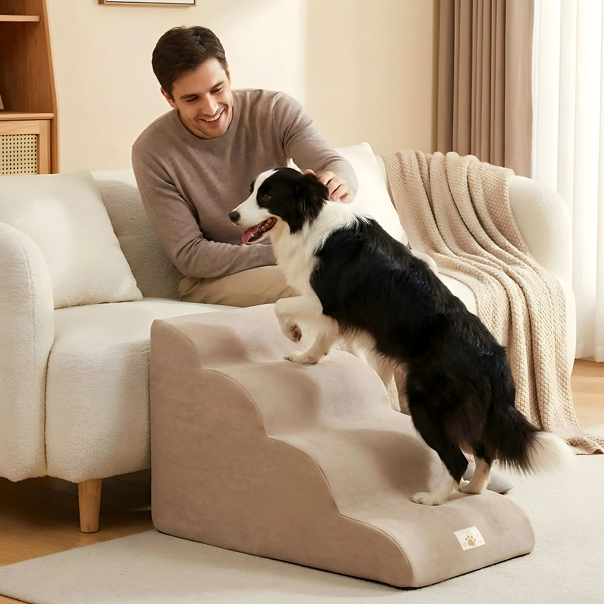 Escalier en mousse marron 2, 3 ou 4 marches pour chien