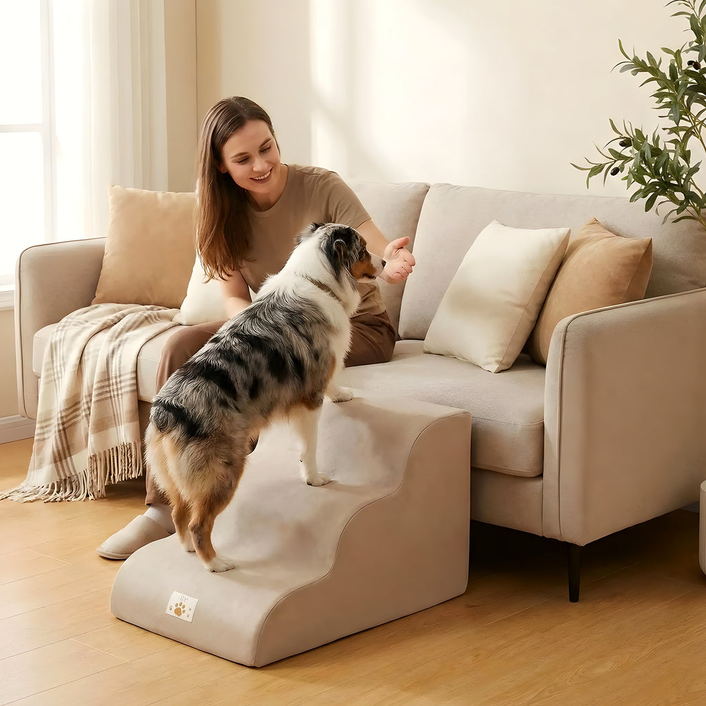 Escalier en mousse marron 2, 3 ou 4 marches pour chien