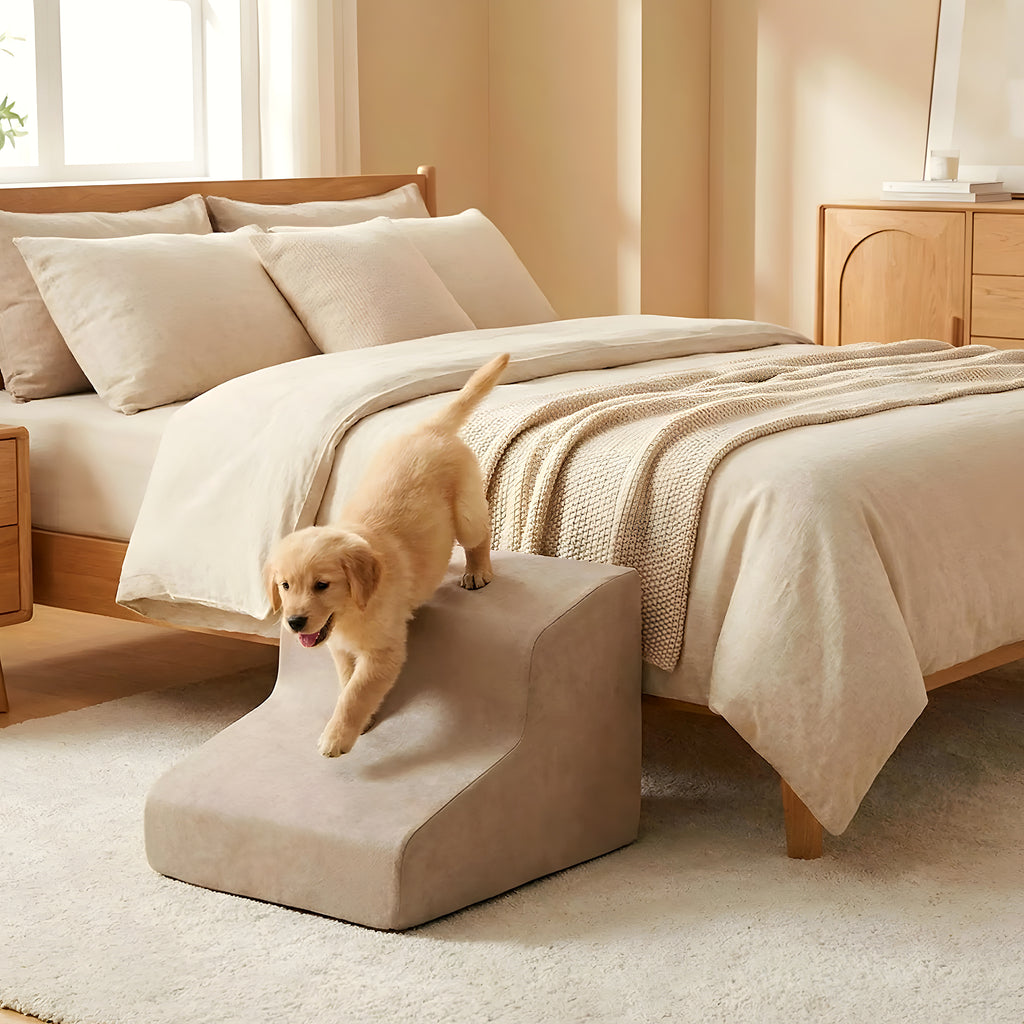 Escalier en mousse marron 2, 3 ou 4 marches pour chien