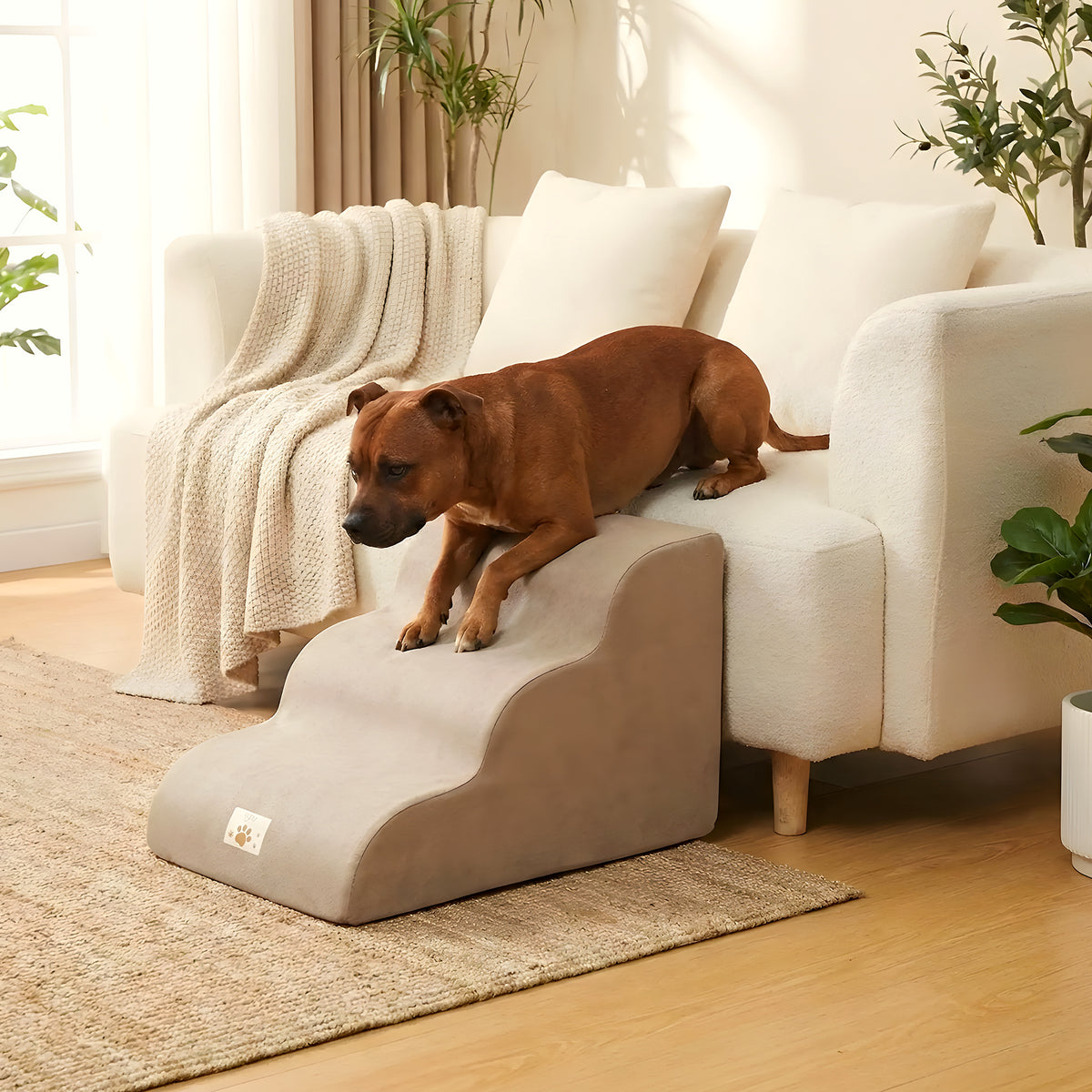 Escalier en mousse marron 2, 3 ou 4 marches pour chien