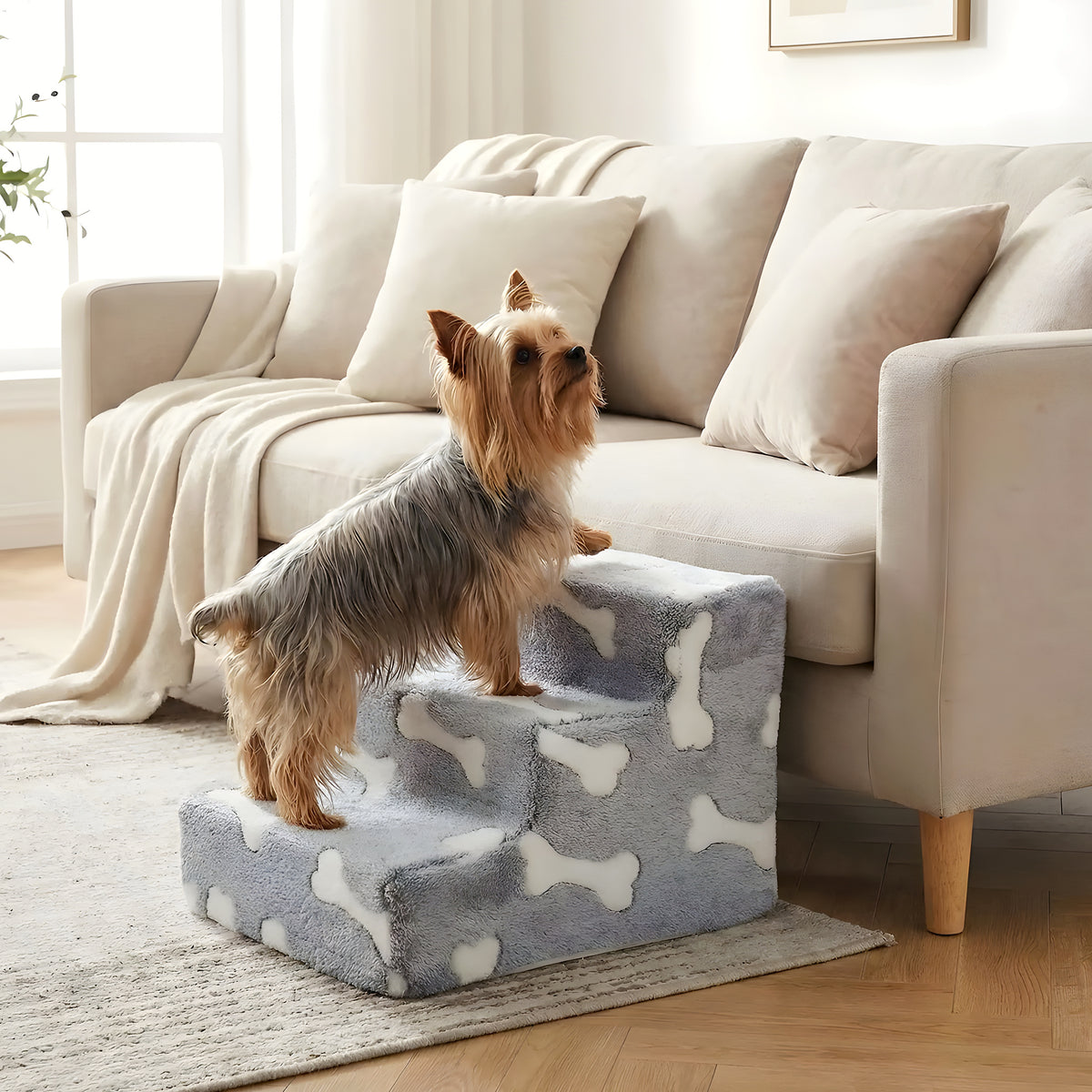 Escalier en mousse motif os pour chien, 3 modèles
