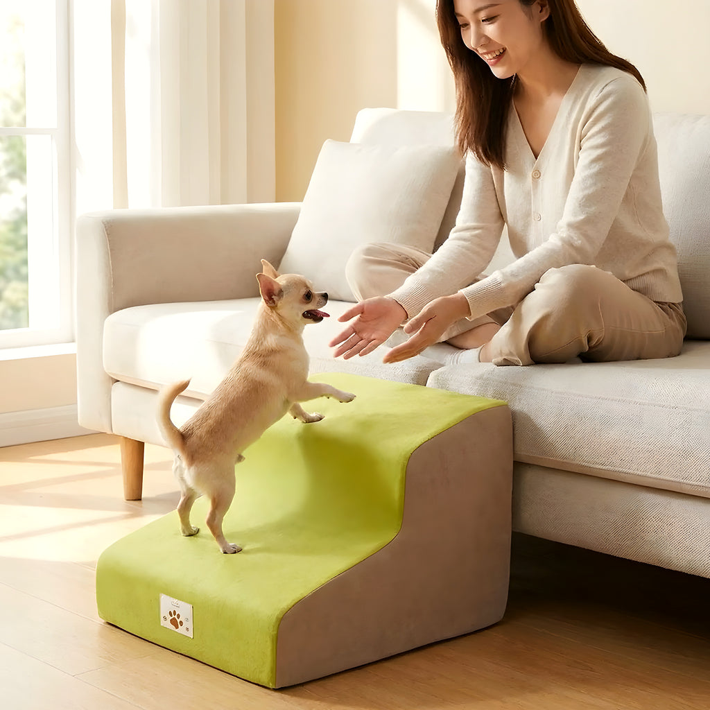 Escalier en mousse vert et beige, 2, 3 ou 4 marches