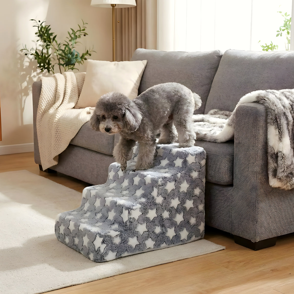Escalier en velours gris à étoiles pour chien, 3 modèles