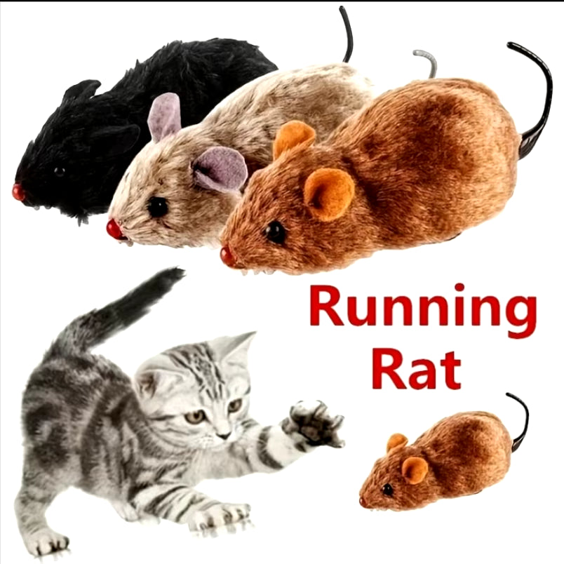 Souris En Peluche Réaliste Et Amusante, Jouet Pour Chats, Chiens, Queue De Souris, Animaux De Compagnie, Enfants, Couleur Aléatoire, 1 Pièce