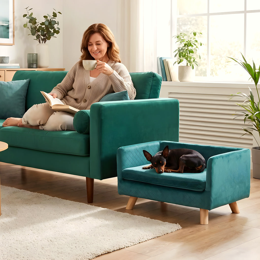 Fauteuil cocon bleu canard pour petit chien