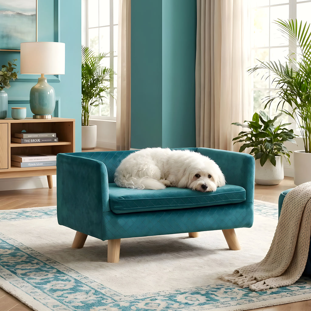 Fauteuil cocon bleu canard pour petit chien