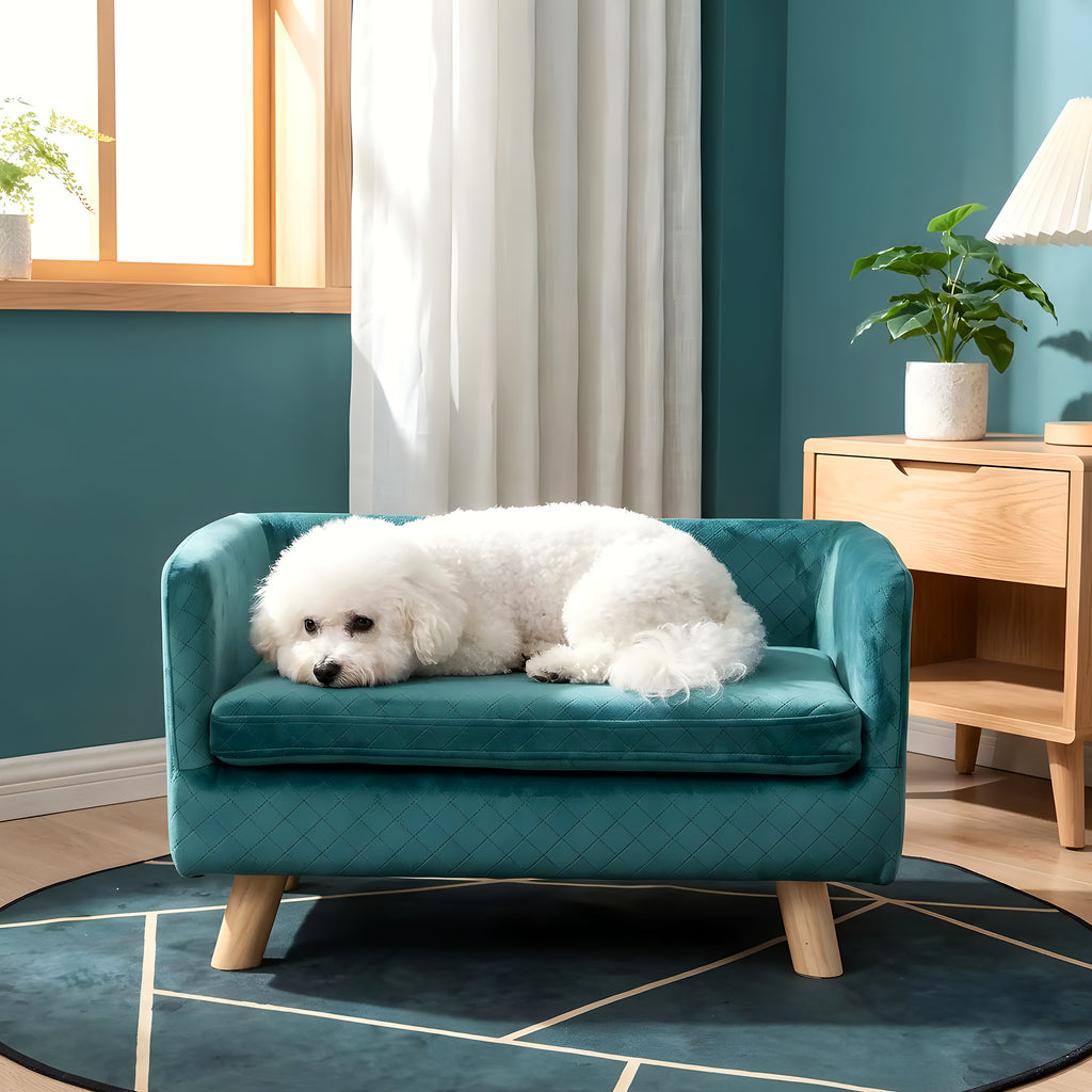 Fauteuil cocon bleu canard pour petit chien
