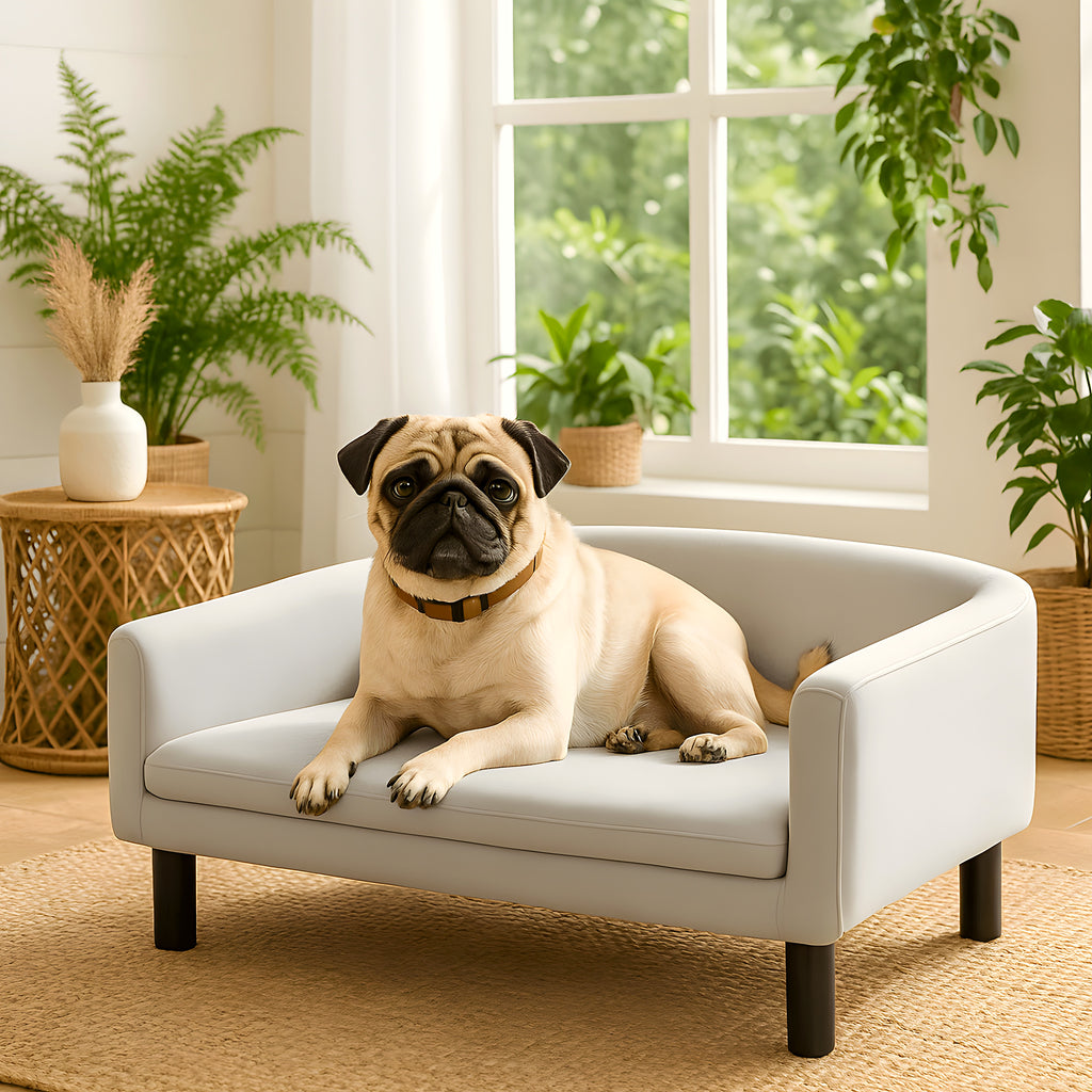 Fauteuil contemporain en velours gris clair pour chien