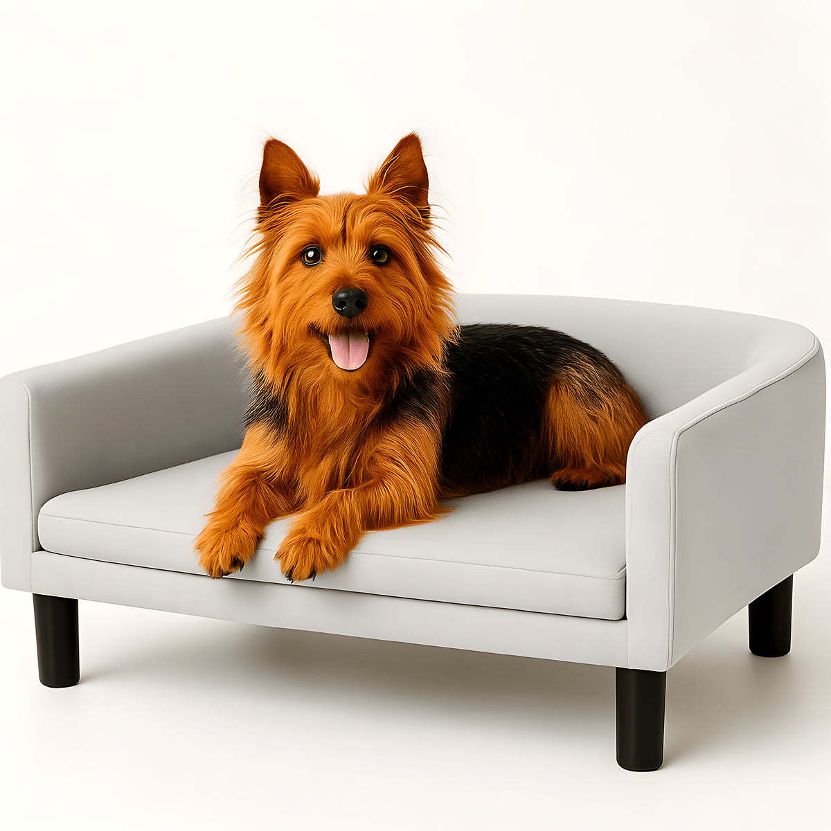 Fauteuil contemporain en velours gris clair pour chien