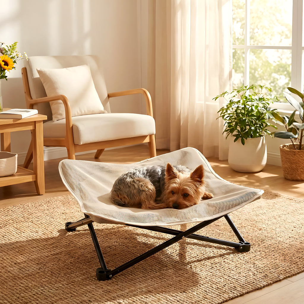 Fauteuil de camping pliable pour petit chien