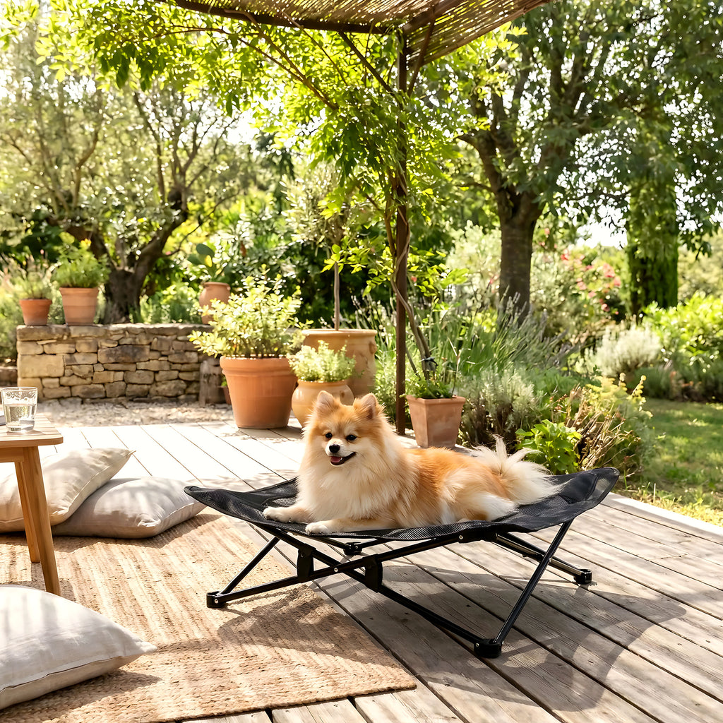Fauteuil de camping pliable pour petit chien