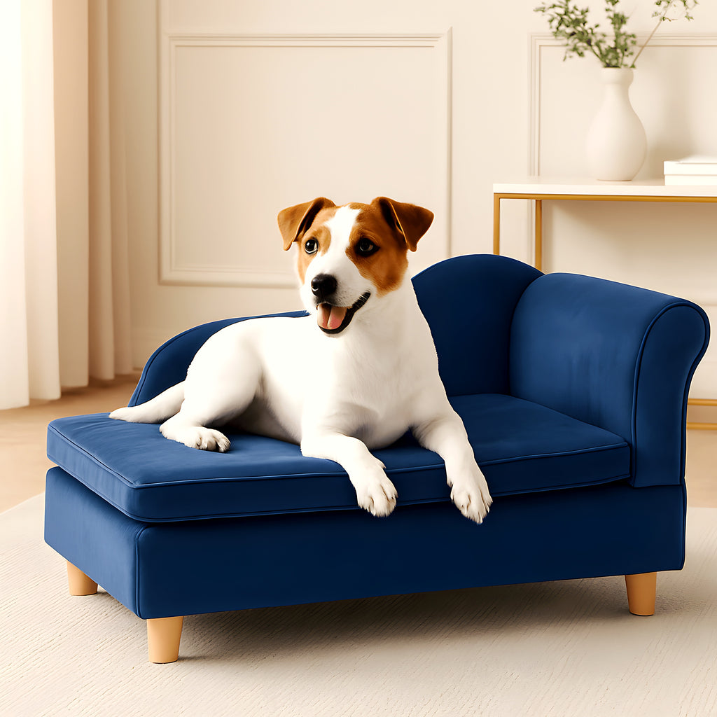 Fauteuil enveloppant bleu roi en velours pour petit chien