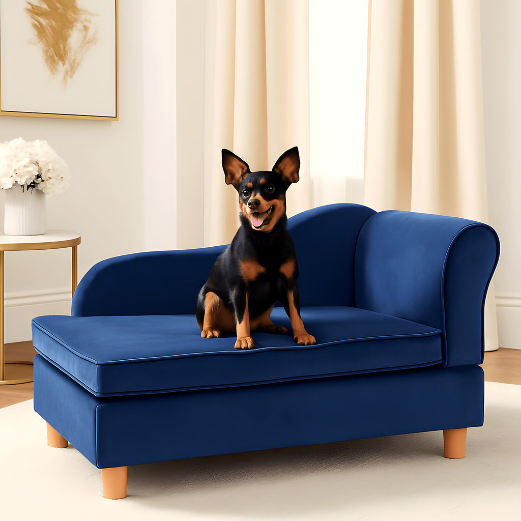 Fauteuil enveloppant bleu roi en velours pour petit chien