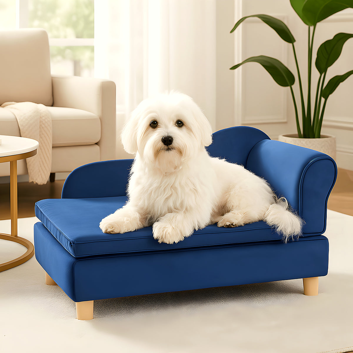 Fauteuil enveloppant bleu roi en velours pour petit chien