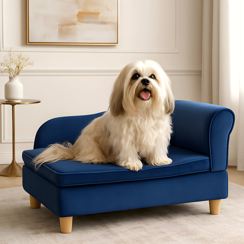 Fauteuil enveloppant bleu roi en velours pour petit chien