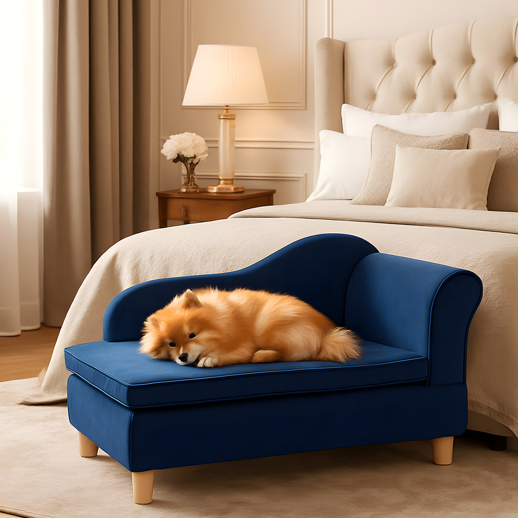 Fauteuil enveloppant bleu roi en velours pour petit chien