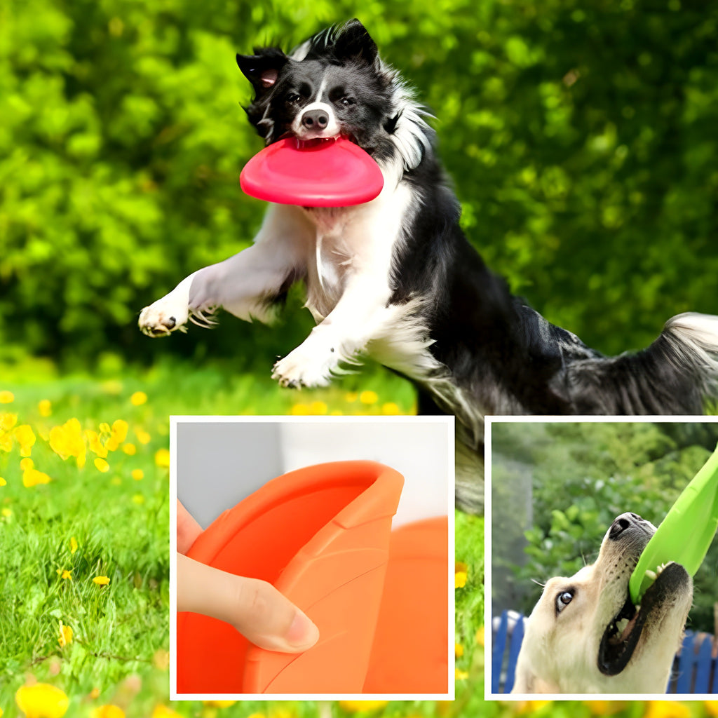 Frisbee en caoutchouc flottant pour chien, 3 tailles