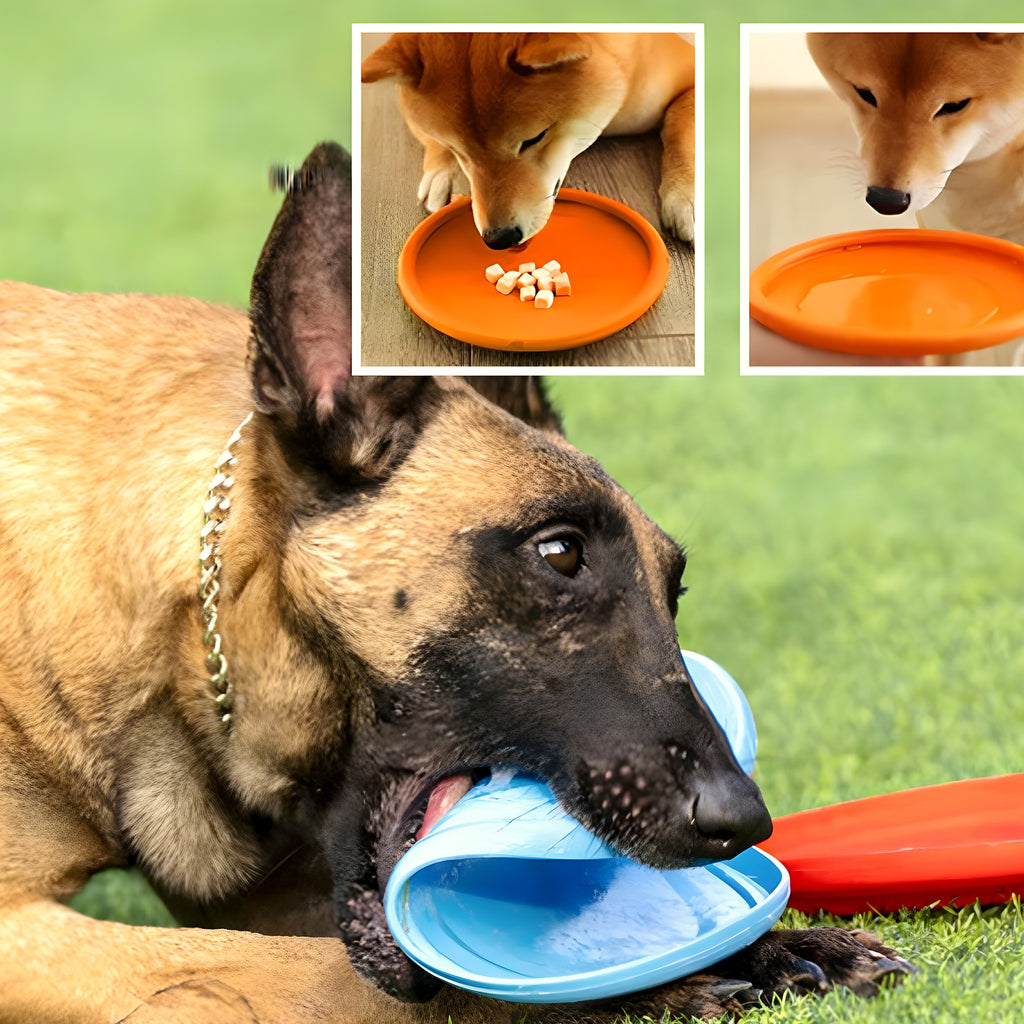 Frisbee en caoutchouc flottant pour chien, 3 tailles