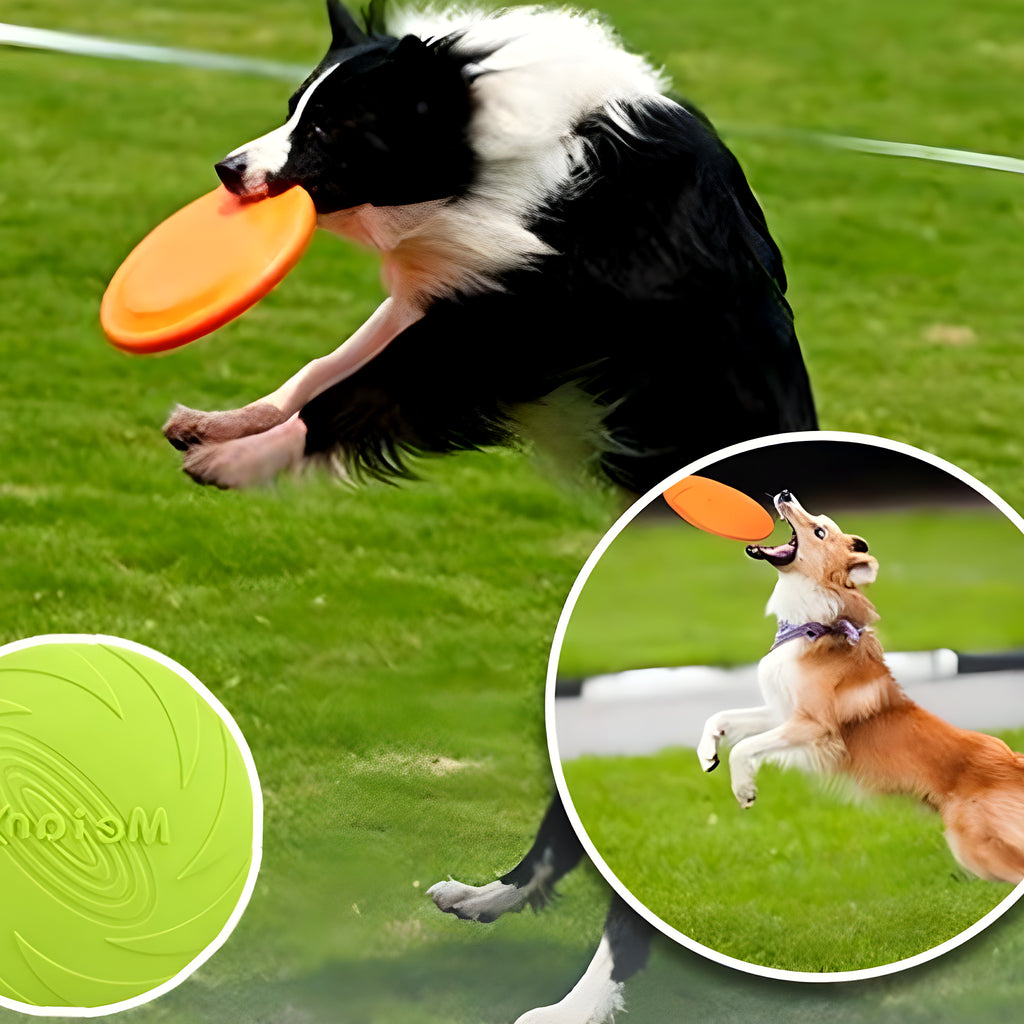 Frisbee en caoutchouc flottant pour chien, 3 tailles