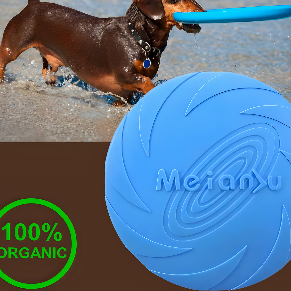 Frisbee en caoutchouc flottant pour chien, 3 tailles