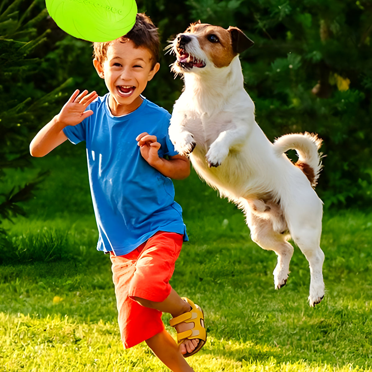 Frisbee en caoutchouc naturel pour chien, S à L