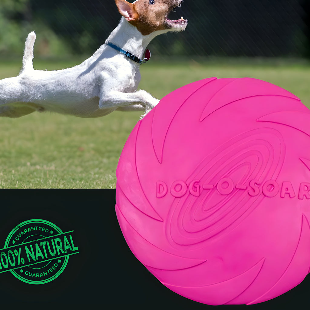 Frisbee en caoutchouc naturel pour chien, S à L