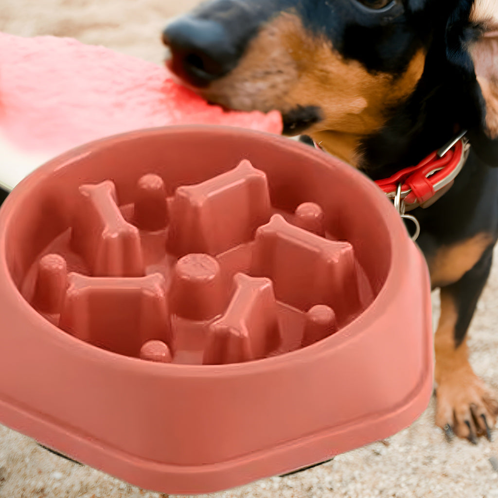 Gamelle anti-glouton antidérapante pour chien, 4 coloris