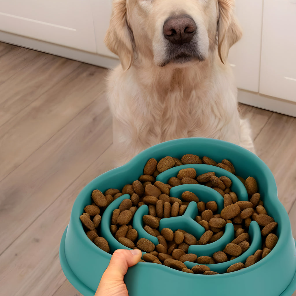 Gamelle anti-glouton en ABS pour chien, 4 couleurs