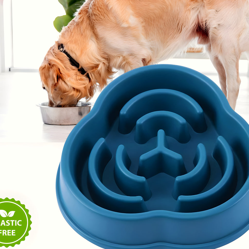 Gamelle anti-glouton en ABS pour chien, 4 couleurs
