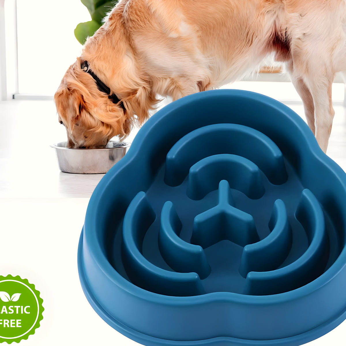 Gamelle anti-glouton en ABS pour chien, 4 couleurs