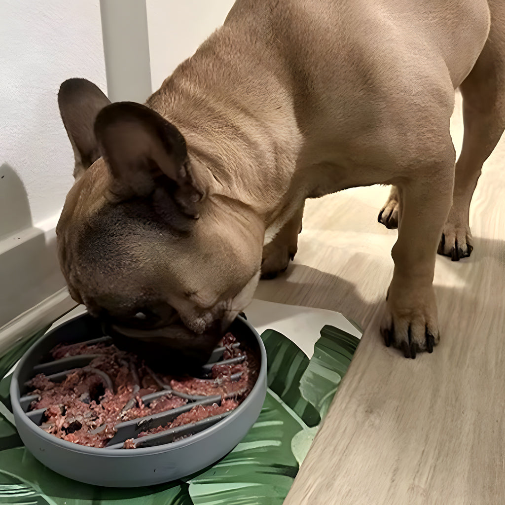 Gamelle anti-glouton en silicone à ventouse pour chien