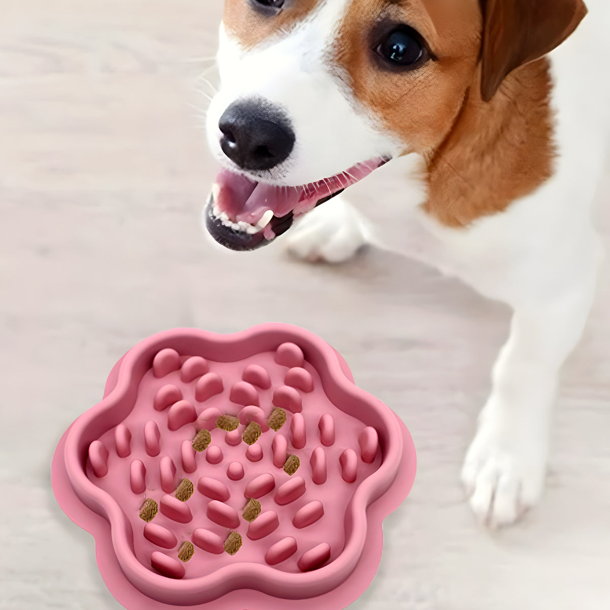 Gamelle anti-glouton en silicone pour petit chien