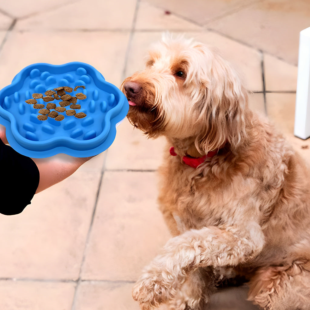 Gamelle anti-glouton en silicone pour petit chien