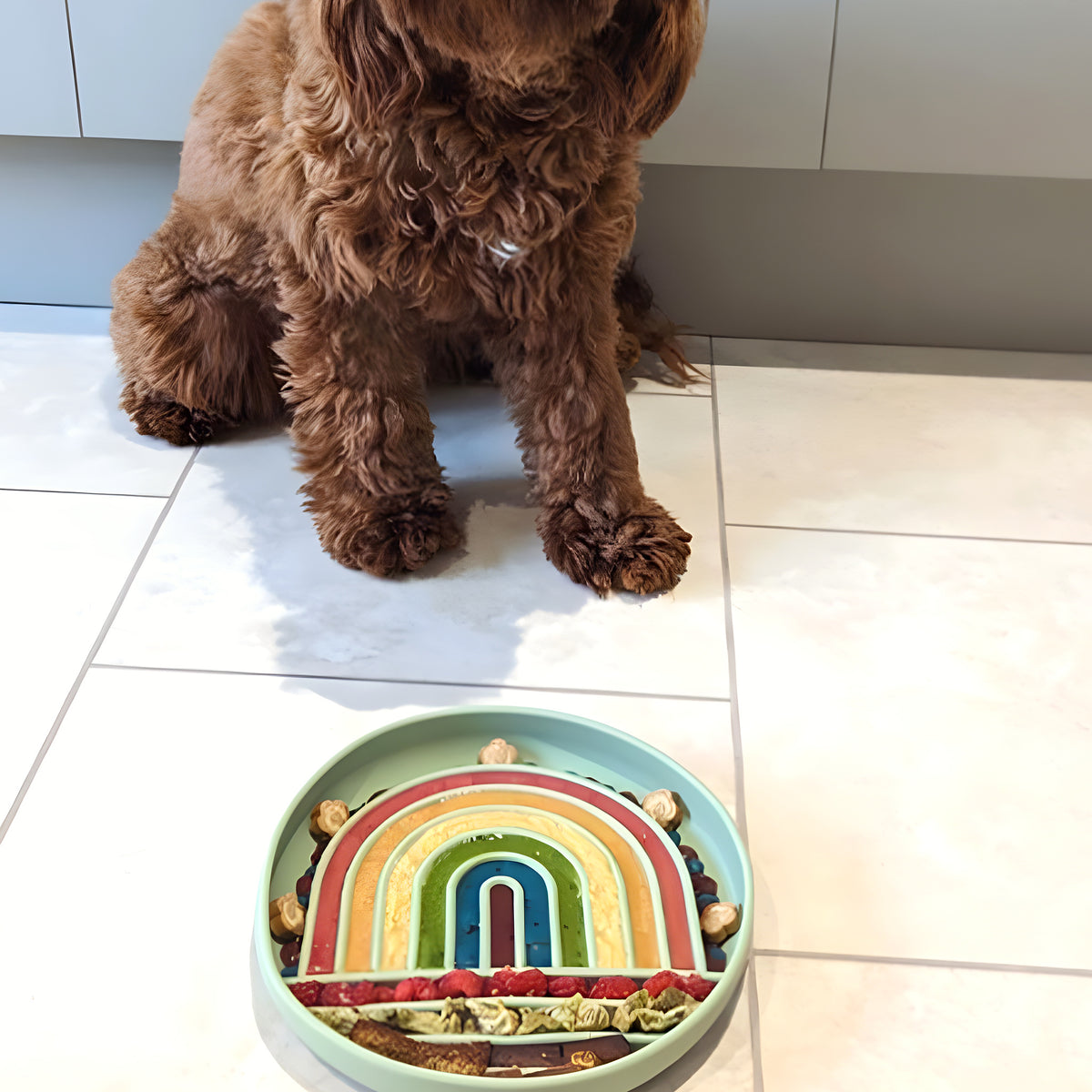 Gamelle anti-glouton et tapis de léchage 2 en 1 pour chien