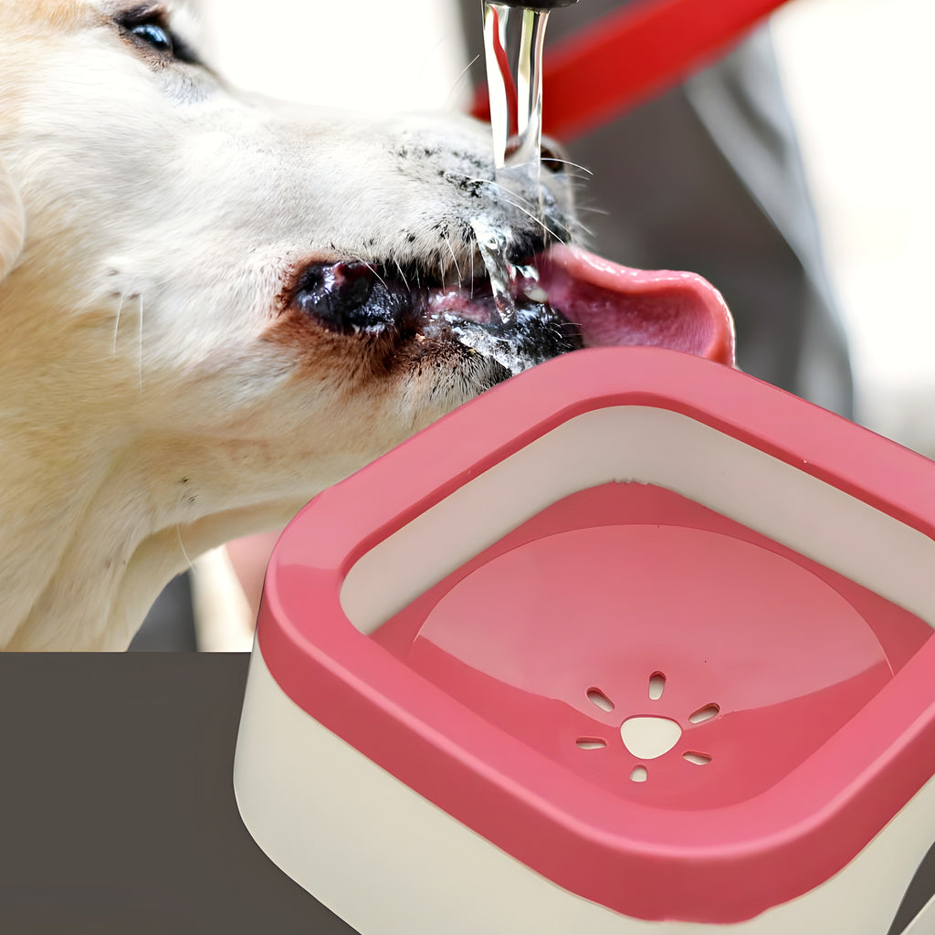 Gamelle d'eau anti-éclaboussures 1,5 L pour chien